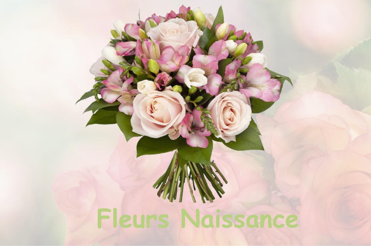 fleurs naissance FLAVY-LE-MARTEL